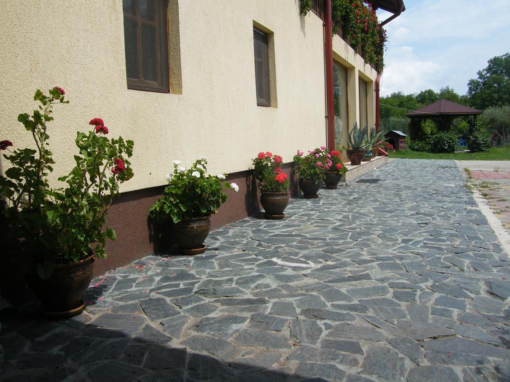 Pensiunea Casa Filoxenia Horezu Exterior photo