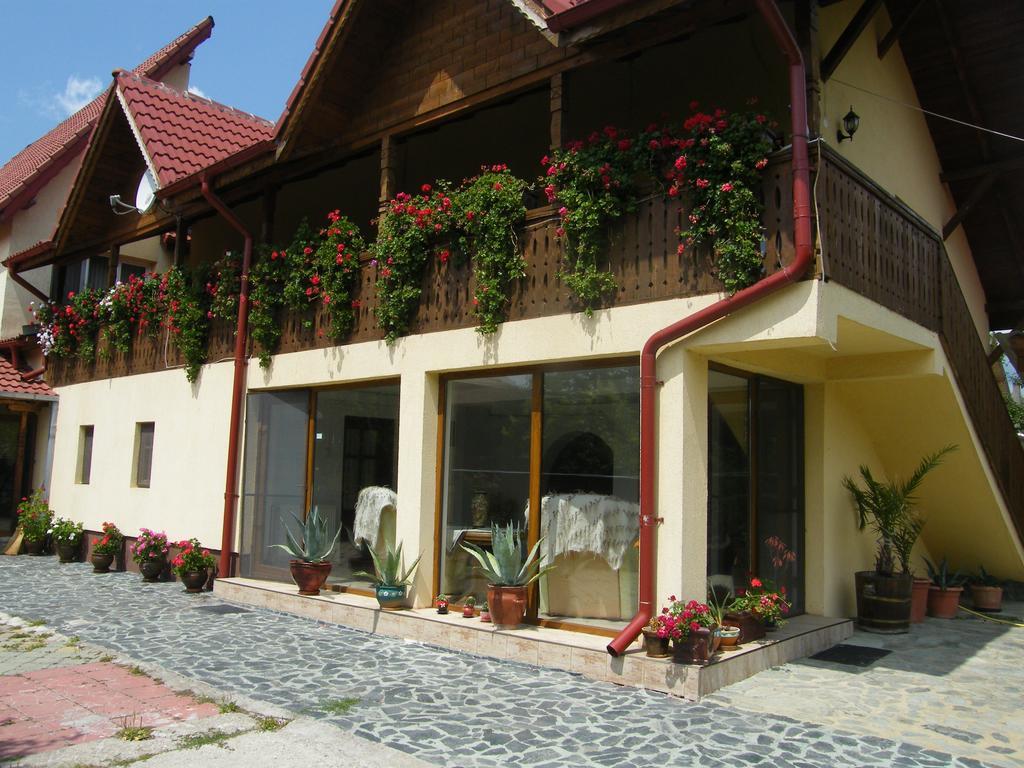 Pensiunea Casa Filoxenia Horezu Exterior photo
